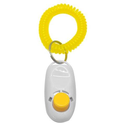 Training Clicker