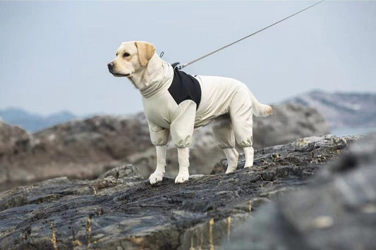 Dog shell jacket