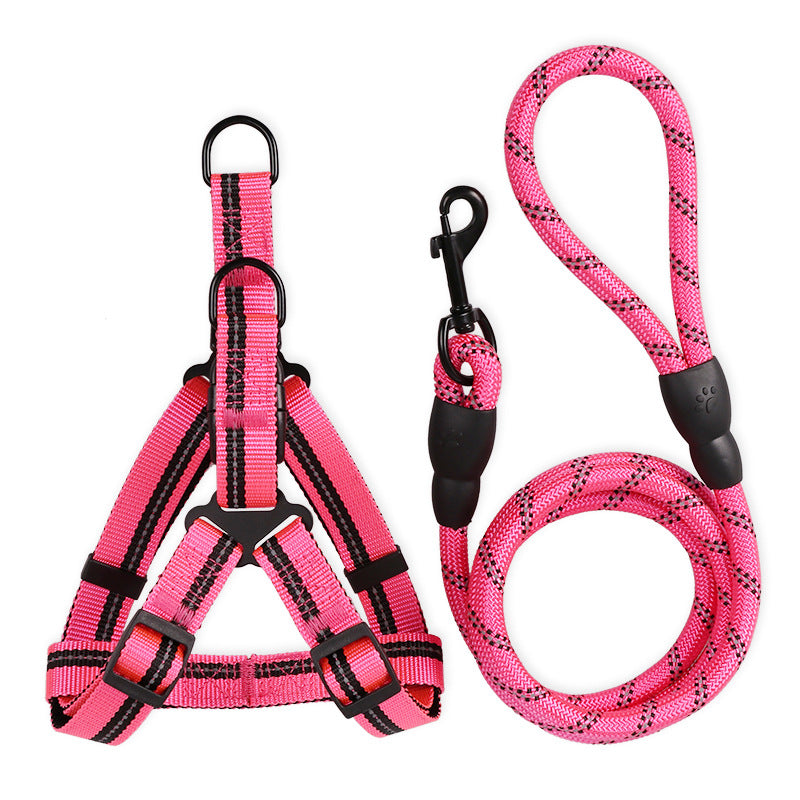 Harness & Leash