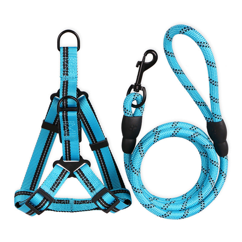 Harness & Leash