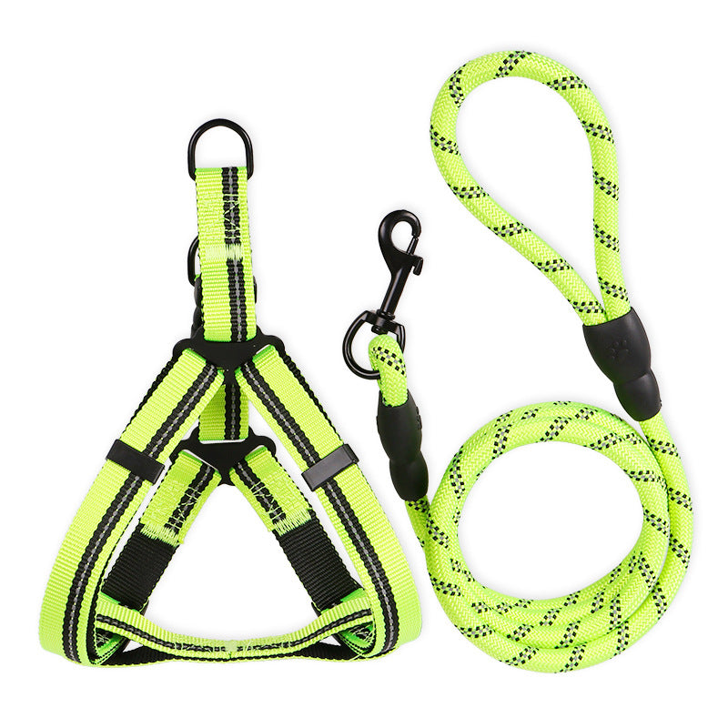 Harness & Leash