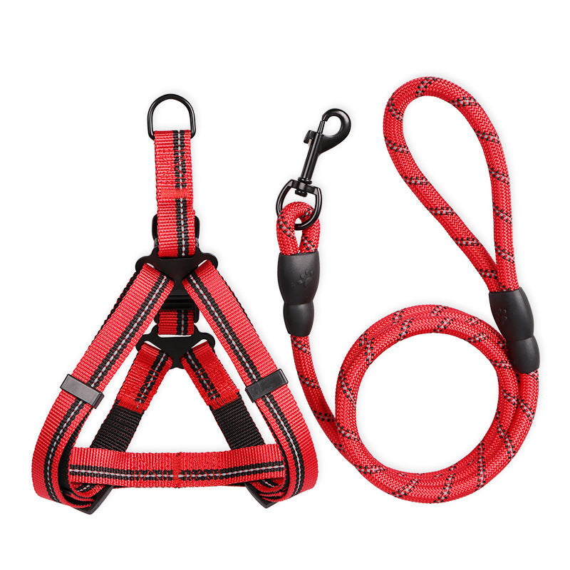 Harness & Leash