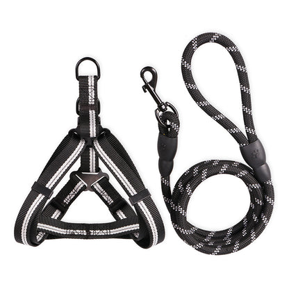 Harness & Leash