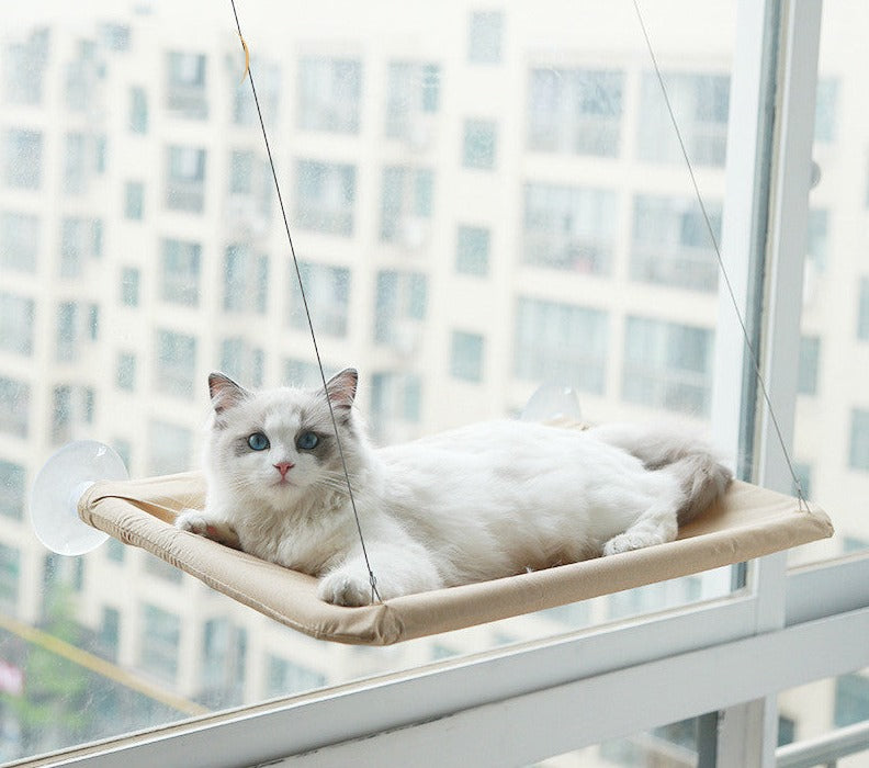 Cat Window Hammock