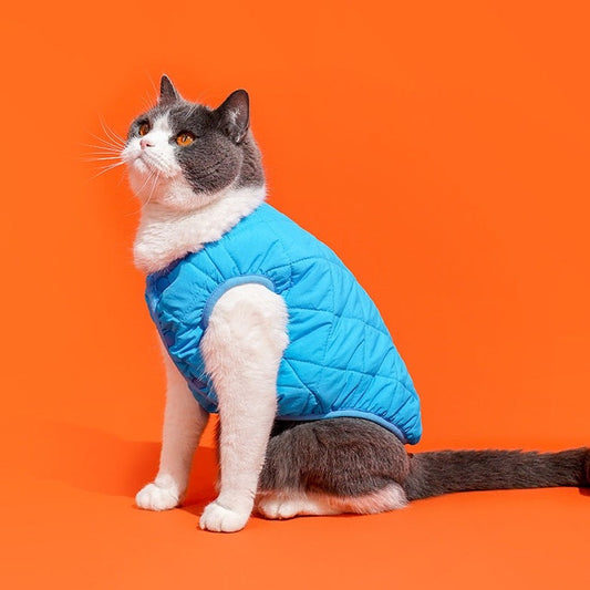 Cat vest