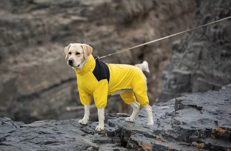 Dog shell jacket