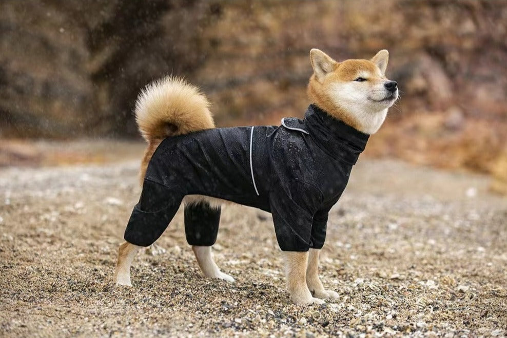 Dog shell jacket