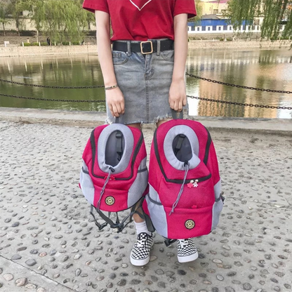 Backpack Carrier