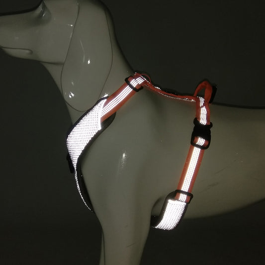 Reflective Harness