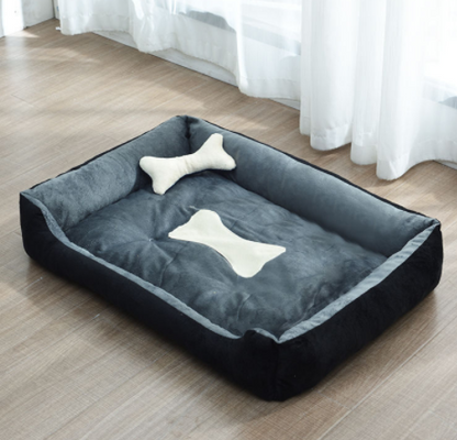 Bone Bed