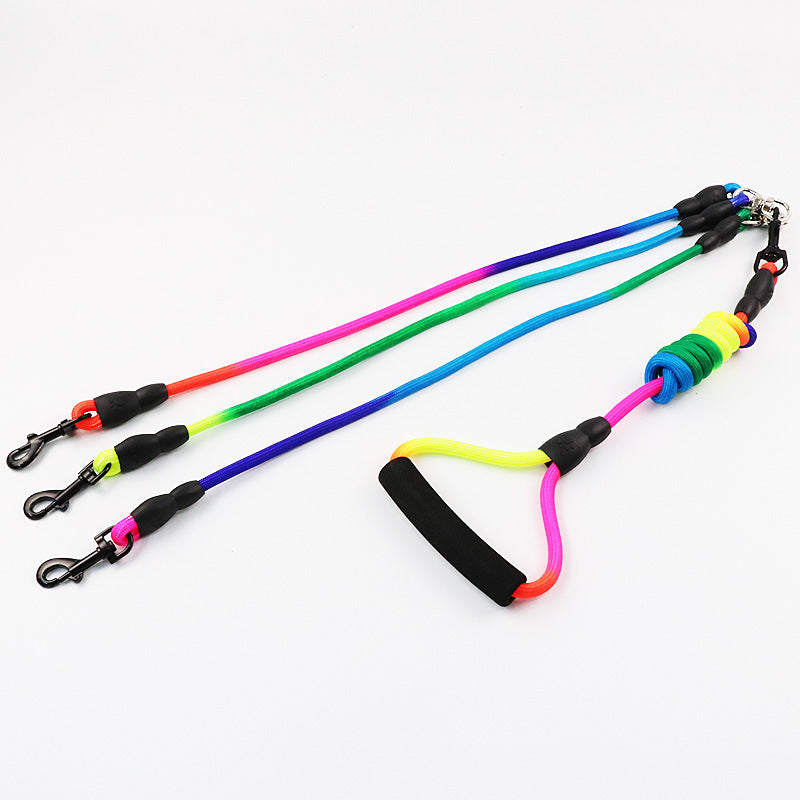 Two Or Three Headed Leash