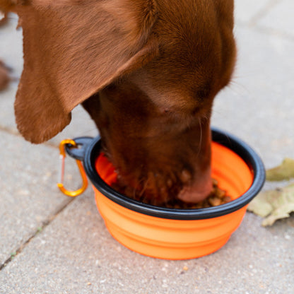 Easy Folding Bowl