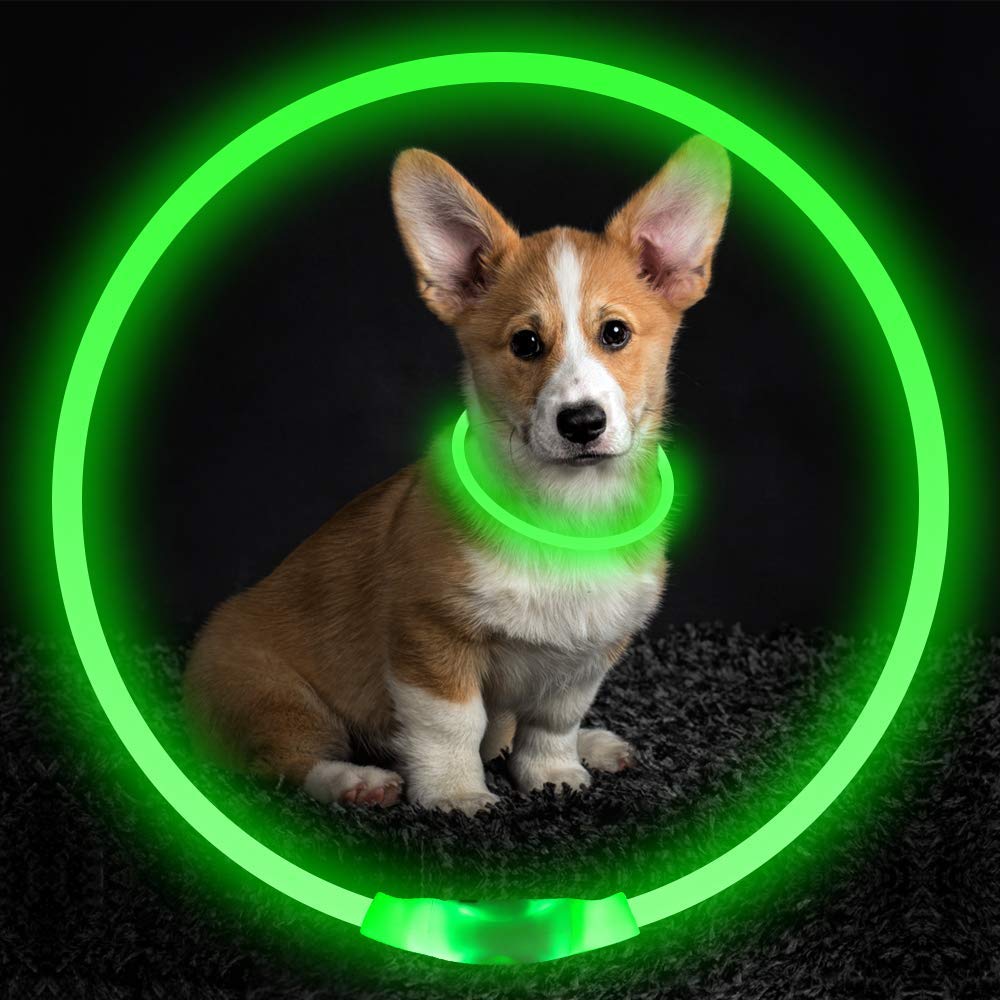 Glowing Collar