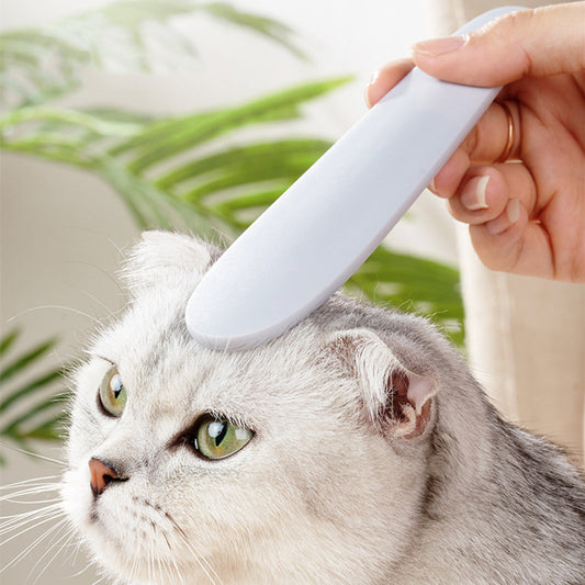 Cat tongue brush