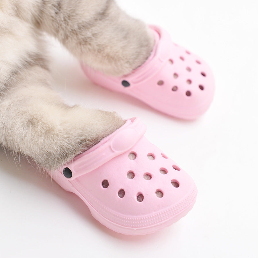 Cat Shoes