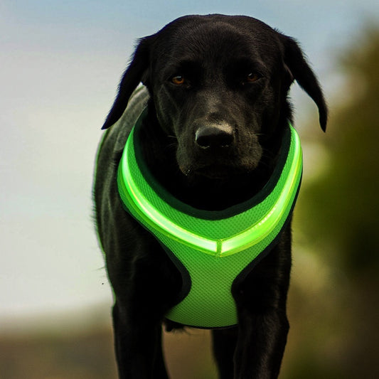 LED Reflective Harness