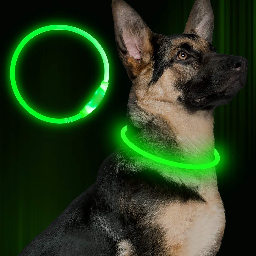 Glowing Collar