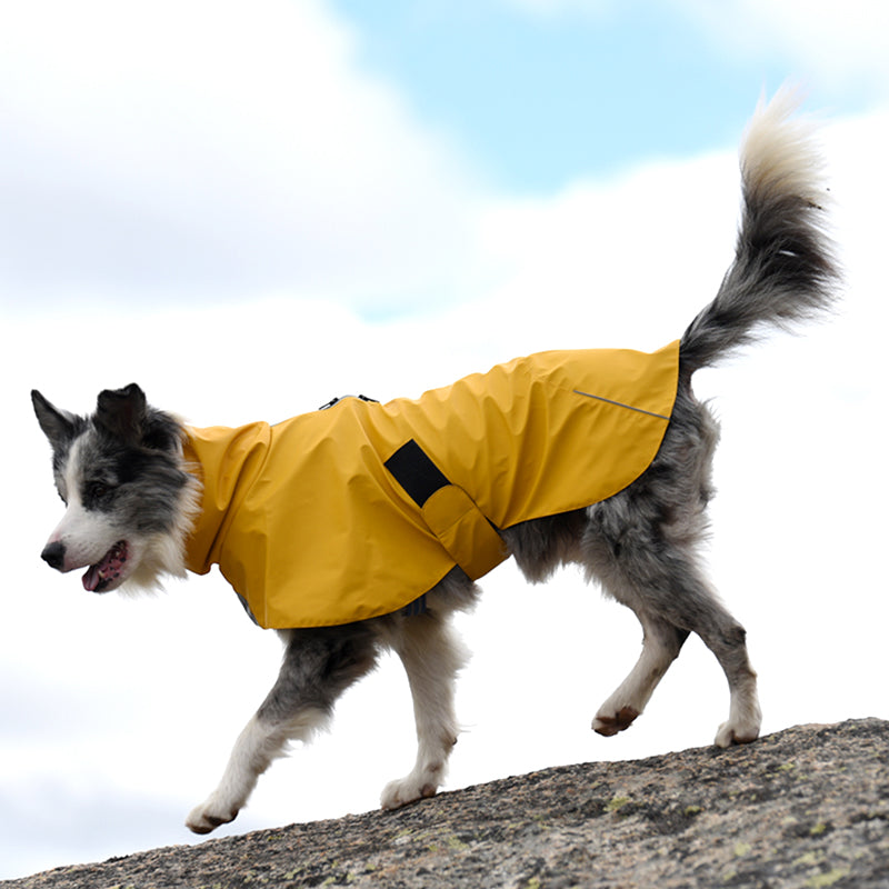 Windproof Raincoat