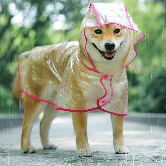 Transparent Raincoat